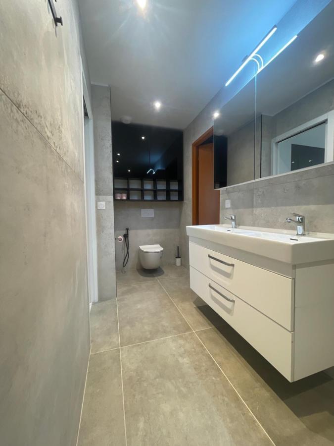 Chez Flo Apartment Grenoble Bagian luar foto