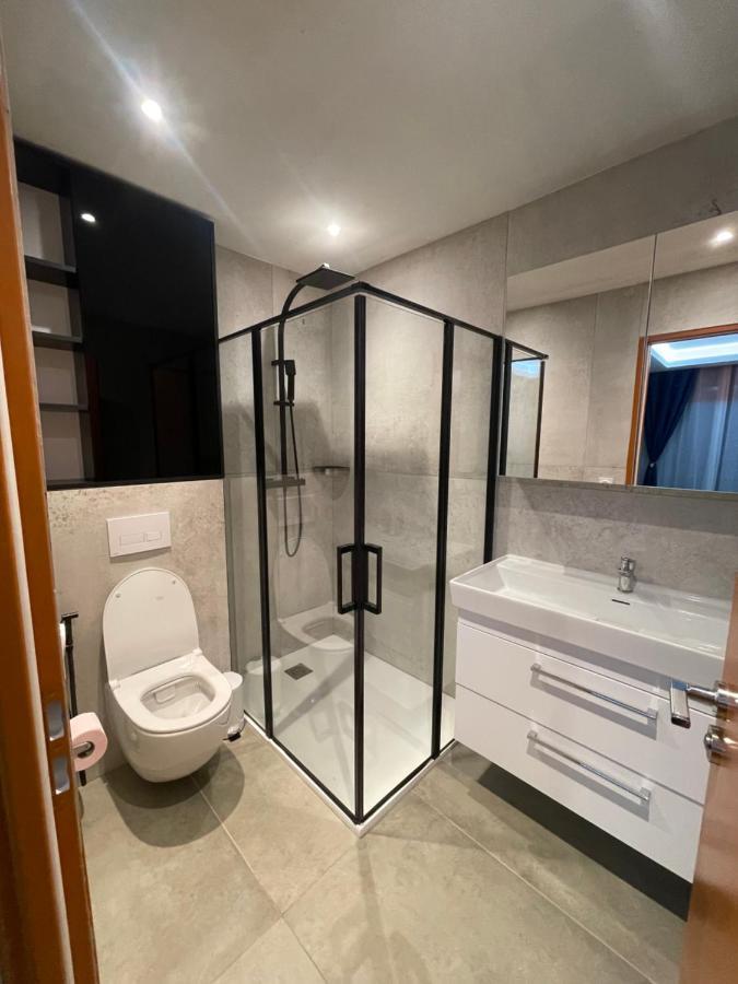 Chez Flo Apartment Grenoble Bagian luar foto
