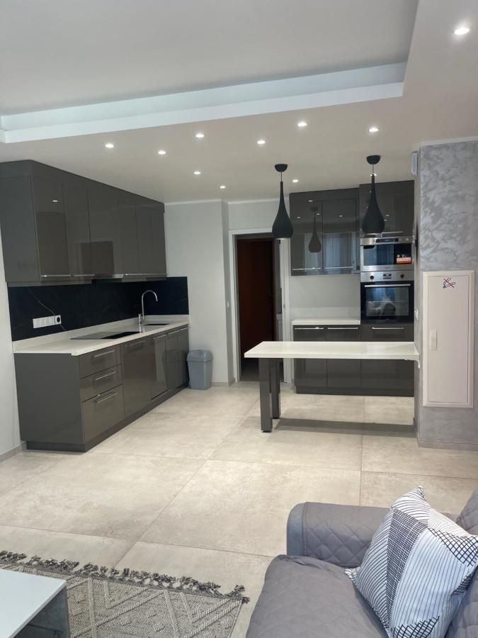 Chez Flo Apartment Grenoble Bagian luar foto