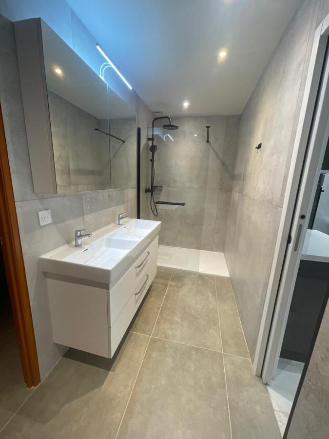 Chez Flo Apartment Grenoble Bagian luar foto