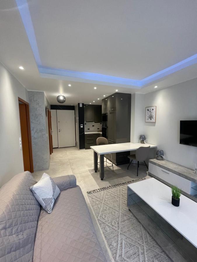 Chez Flo Apartment Grenoble Bagian luar foto