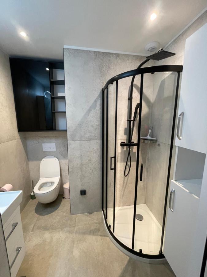 Chez Flo Apartment Grenoble Bagian luar foto